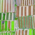 Urban Farming - Aerial Photography of Field