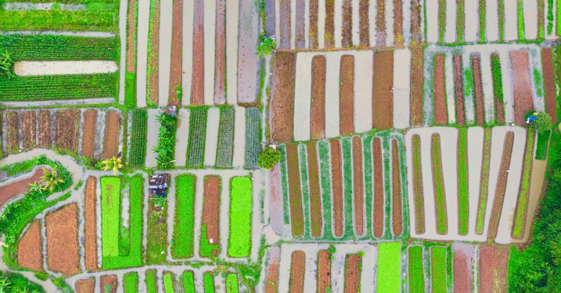 Urban Farming - Aerial Photography of Field