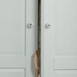 Fast Fashion - Wardrobe Full of Cloths