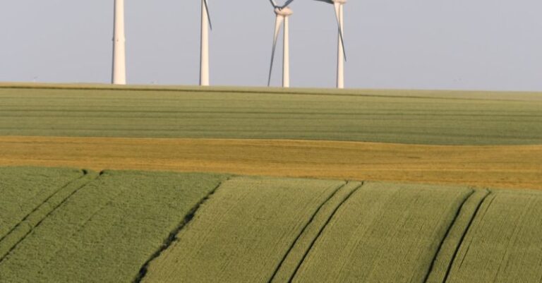 Eco-Tourism - Windmills